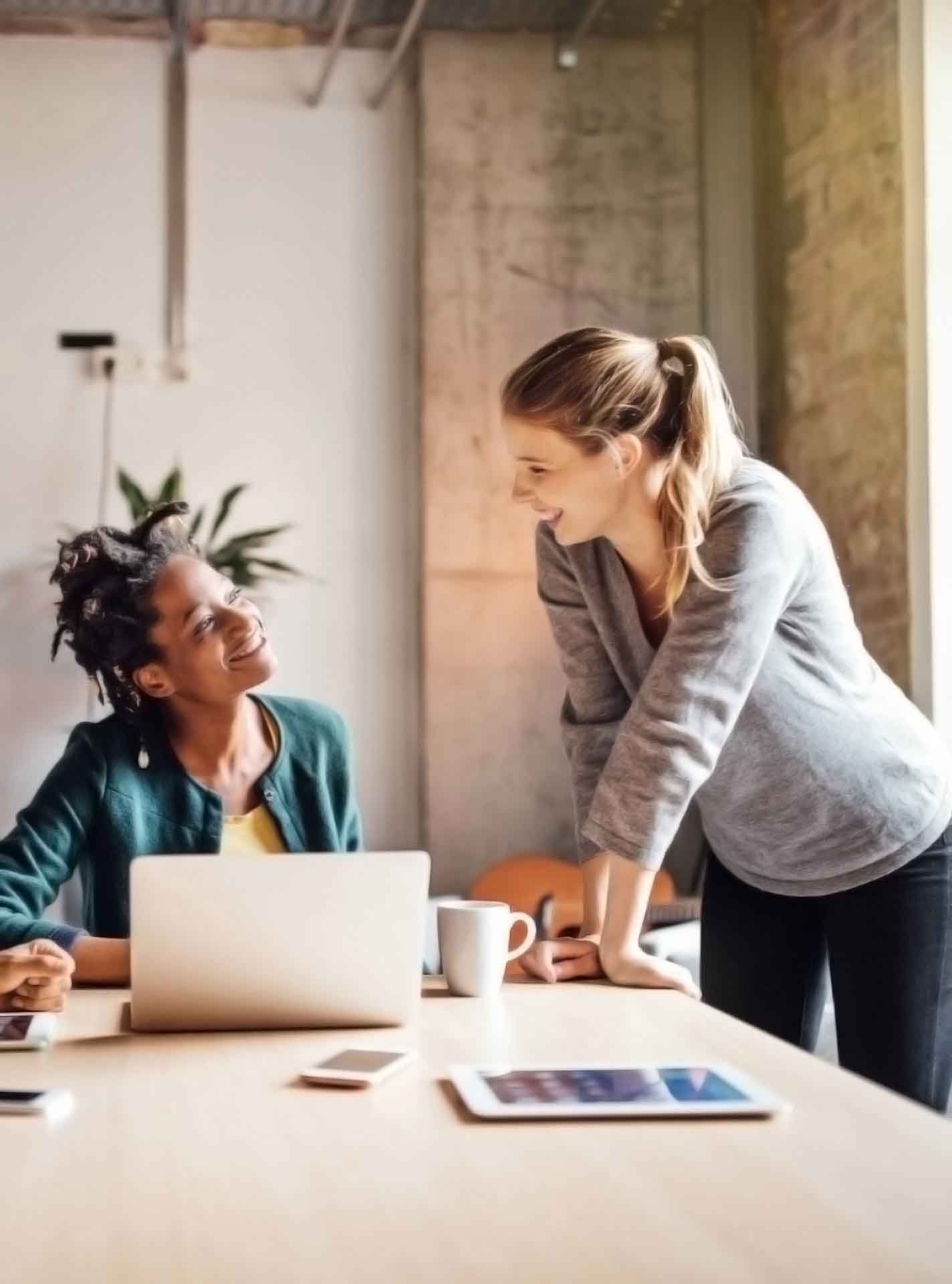 无需付费就能用的如何攻击网站